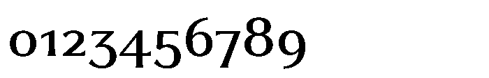 Partner Serif Medium Font OTHER CHARS