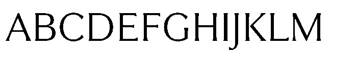 Partner Serif Regular Font UPPERCASE