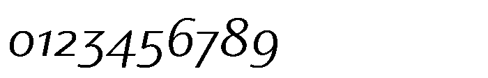 Partner Variable Italic Font OTHER CHARS