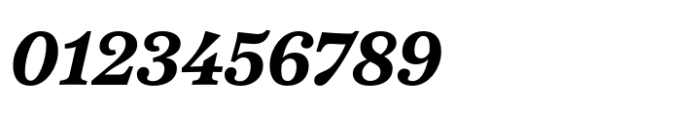 Passenger Serif Bold Italic Font OTHER CHARS