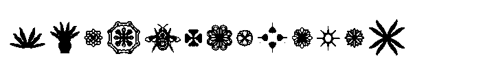 Paterna Icon FONT