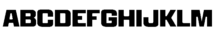Panell TRIAL Bold Instance Font UPPERCASE