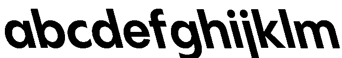 Pangram Sans Compact Variable Pangram Sans Variable 23 FONT