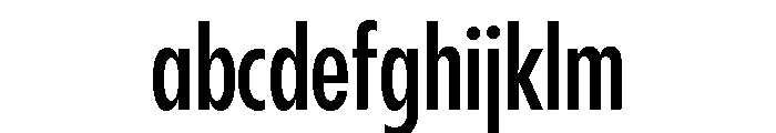 Pangram Sans Compressed Variable Pangram Sans Variable 6 FONT