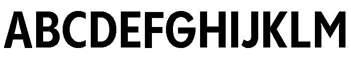 Pangram Sans Narrow Variable Pangram Sans Variable 7 Font UPPERCASE