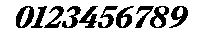 Paragraf BlackItalic Font OTHER CHARS
