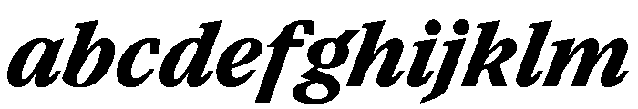 Paragraf BlackItalic FONT