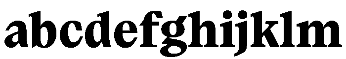 Paragraf Black FONT