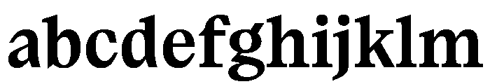 Paragraf Bold FONT