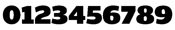 ParcloSans Black Font OTHER CHARS