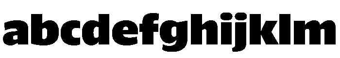 ParcloSans Black FONT