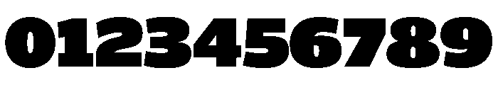 ParcloSans ExtraBlack Font OTHER CHARS
