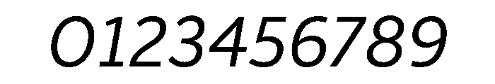 ParcloSans Italic Font OTHER CHARS