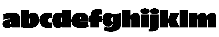 ParcloSans Ultra FONT