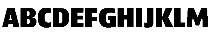 ParcloSansNarrow Black Font UPPERCASE