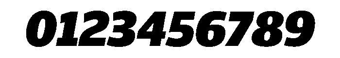 ParcloSansNarrow BlackItalic Font OTHER CHARS