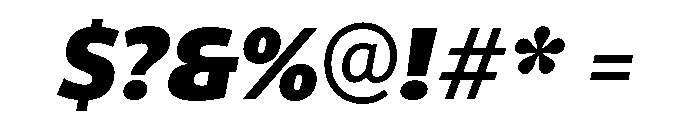 ParcloSansNarrow BlackItalic Font OTHER CHARS
