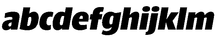 ParcloSansNarrow BlackItalic FONT