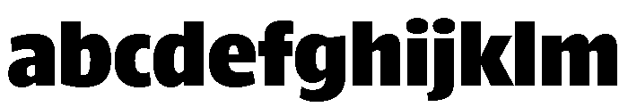 ParcloSansNarrow Black FONT