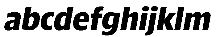ParcloSansNarrow BoldItalic FONT