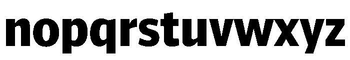 ParcloSansNarrow Bold Font LOWERCASE