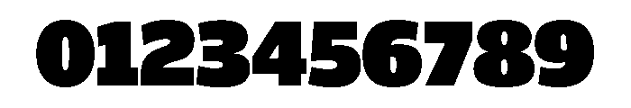 ParcloSansNarrow ExtraBlack Font OTHER CHARS