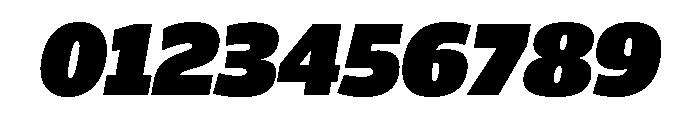 ParcloSansNarrow ExtraBlackItalic Font OTHER CHARS