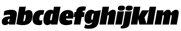 ParcloSansNarrow ExtraBlackItalic FONT