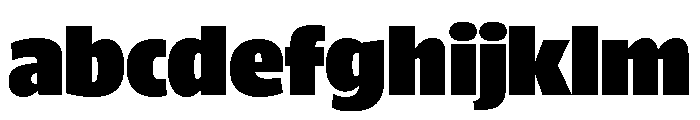 ParcloSansNarrow ExtraBlack FONT