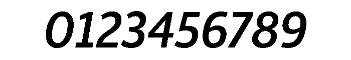 ParcloSansNarrow MediumItalic Font OTHER CHARS