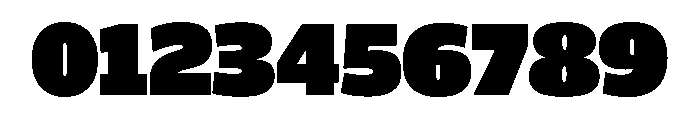 ParcloSansNarrow Ultra Font OTHER CHARS