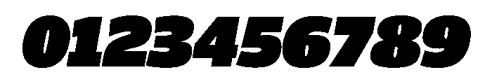 ParcloSansNarrow UltraItalic Font OTHER CHARS