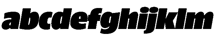 ParcloSansNarrow UltraItalic FONT