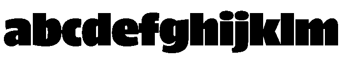 ParcloSansNarrow Ultra FONT