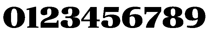 ParcloSerif Black Font OTHER CHARS