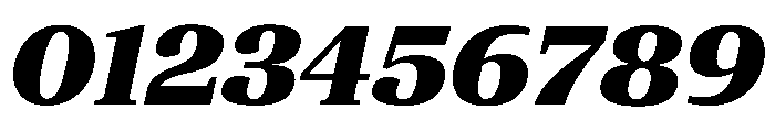 ParcloSerif BlackItalic Font OTHER CHARS