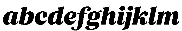ParcloSerif BlackItalic FONT