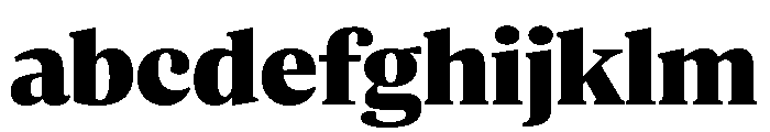 ParcloSerif Black FONT