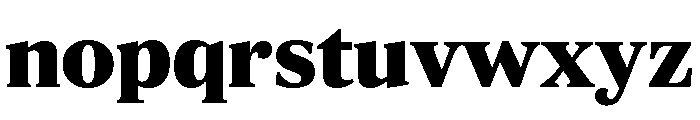 ParcloSerif Black Font LOWERCASE
