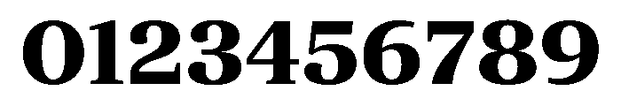 ParcloSerif Bold Font OTHER CHARS