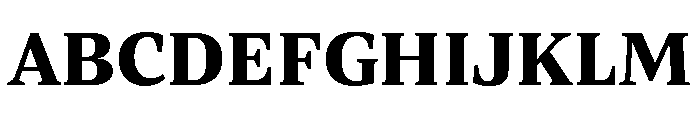 ParcloSerif Bold Font UPPERCASE