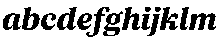 ParcloSerif BoldItalic FONT