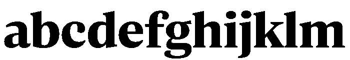 ParcloSerif Bold FONT
