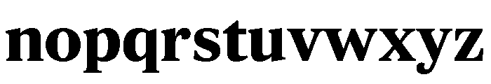 ParcloSerif Bold Font LOWERCASE