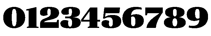 ParcloSerif ExtraBlack Font OTHER CHARS