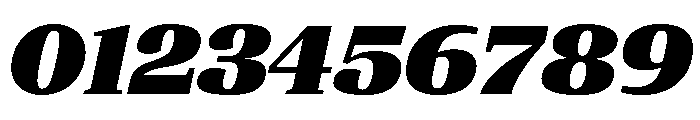ParcloSerif ExtraBlackItalic Font OTHER CHARS