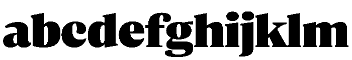 ParcloSerif ExtraBlack FONT