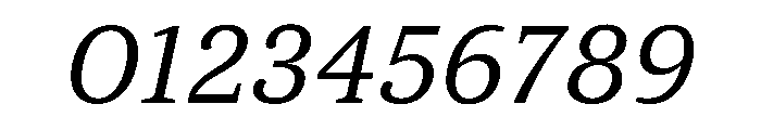 ParcloSerif Italic Font OTHER CHARS