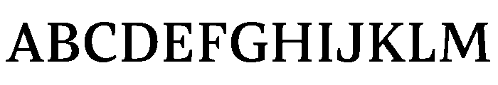 ParcloSerif Medium Font UPPERCASE