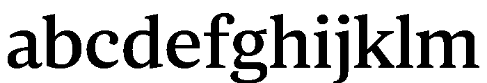 ParcloSerif Medium FONT